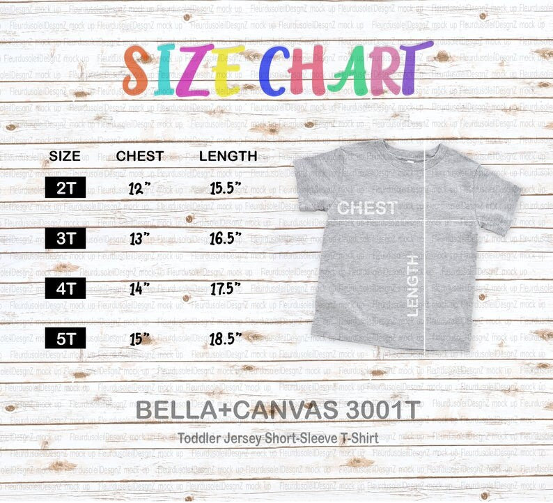 Youth 'Dramatic Unicorn' Graphic Tee - Bella Canvas
