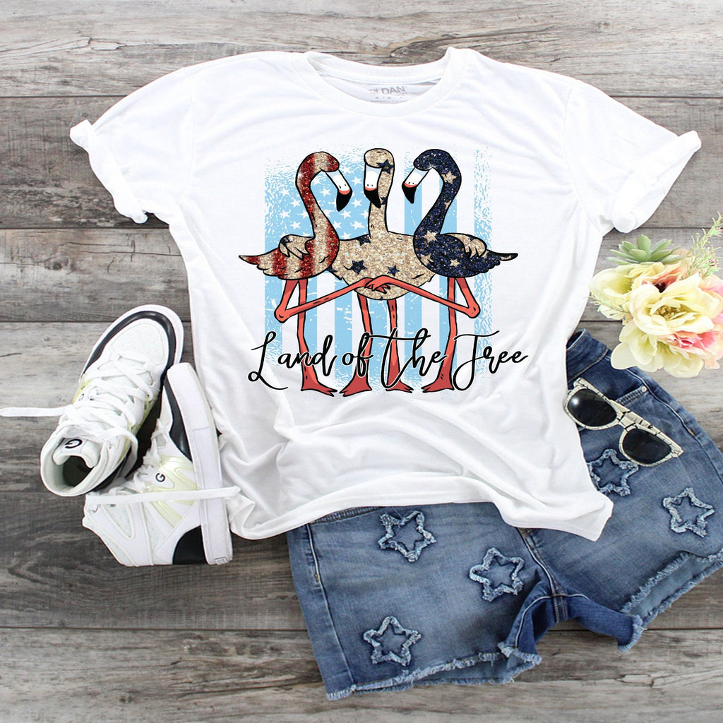 Youth 4th of July Flamingo T-Shirt: Land Of The Free Design