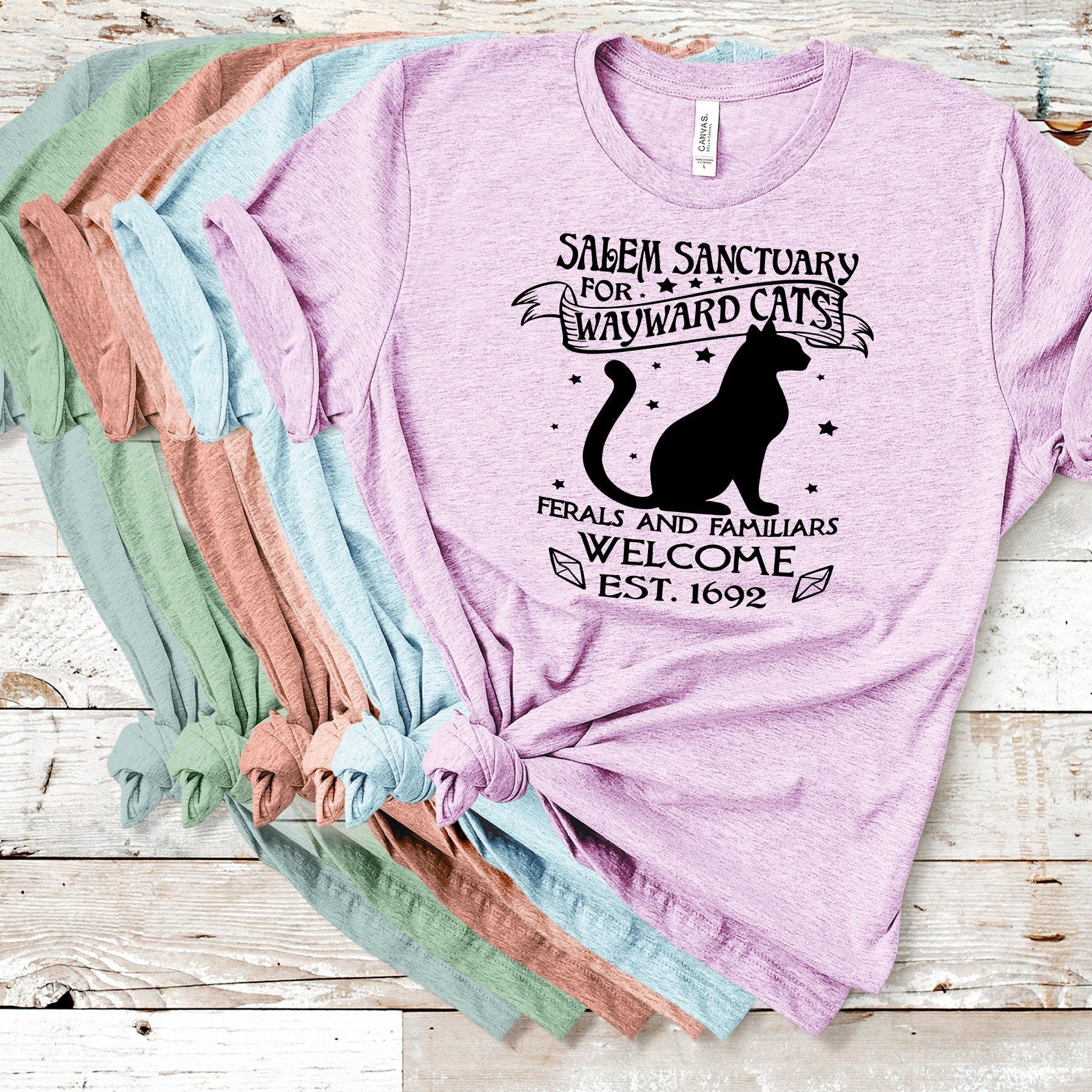 Salem Sanctuary Cat T-Shirt: Witchy Kitty, Feral & Familiar Welcome