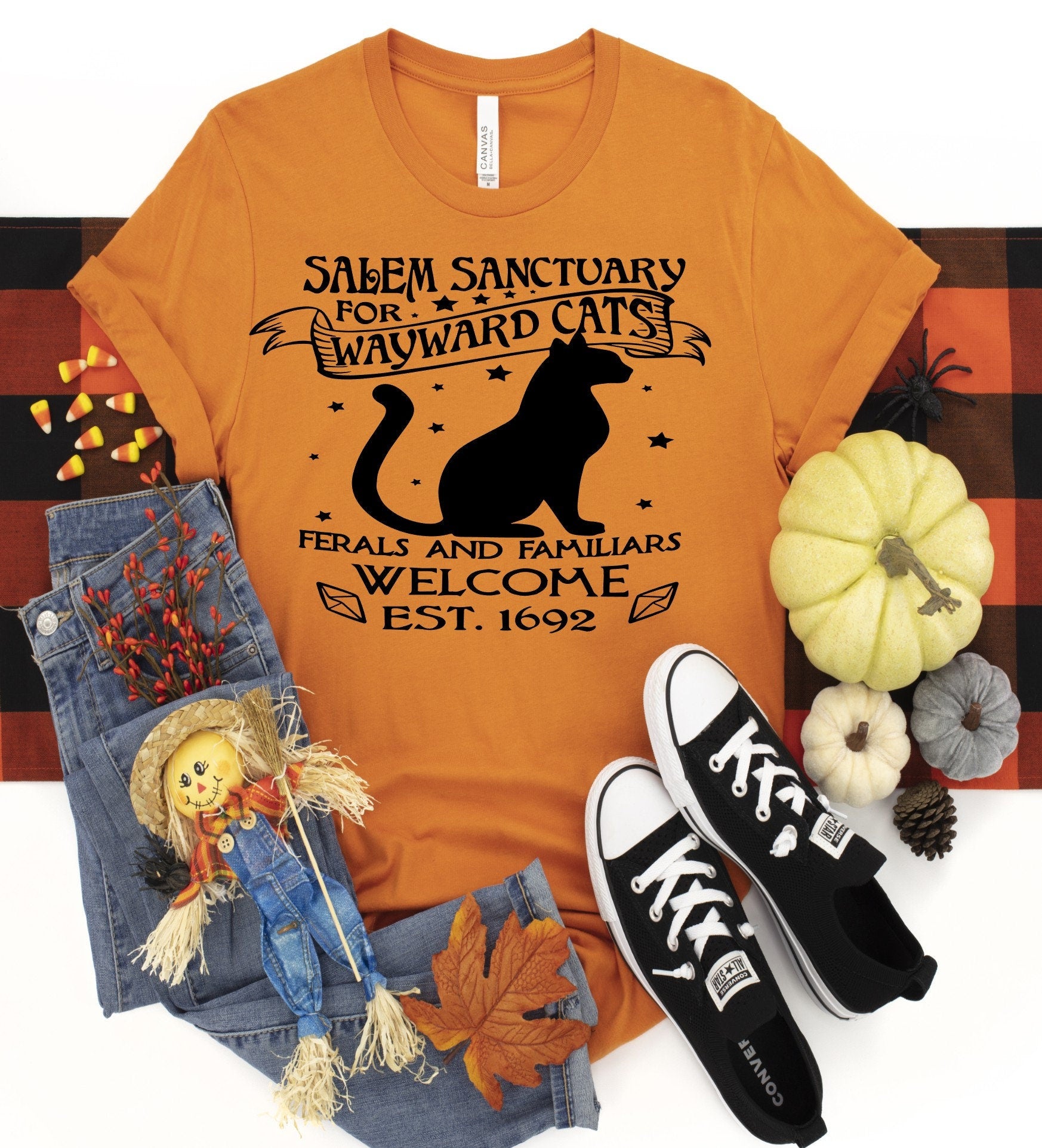 Salem Sanctuary Cat T-Shirt: Witchy Kitty, Feral & Familiar Welcome