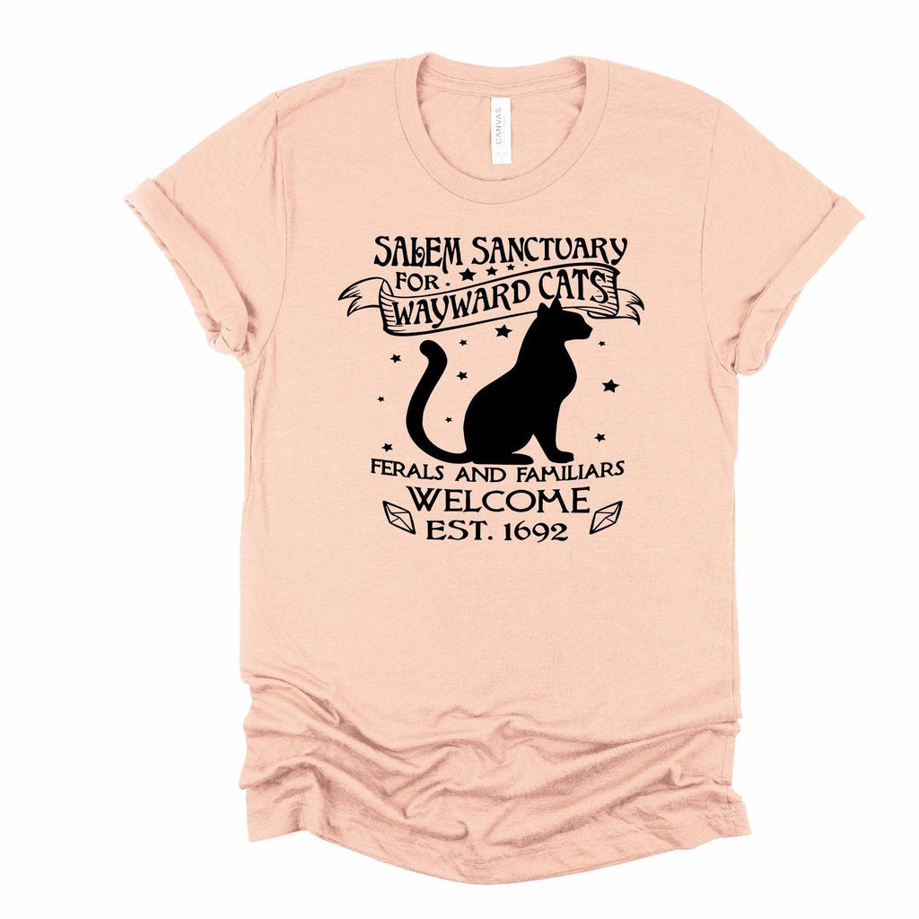 Salem Sanctuary Cat T-Shirt: Witchy Kitty, Feral & Familiar Welcome