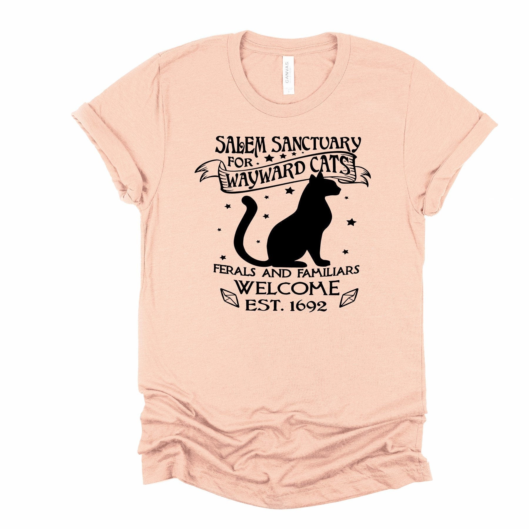 Salem Sanctuary Cat T-Shirt: Witchy Kitty, Feral & Familiar Welcome