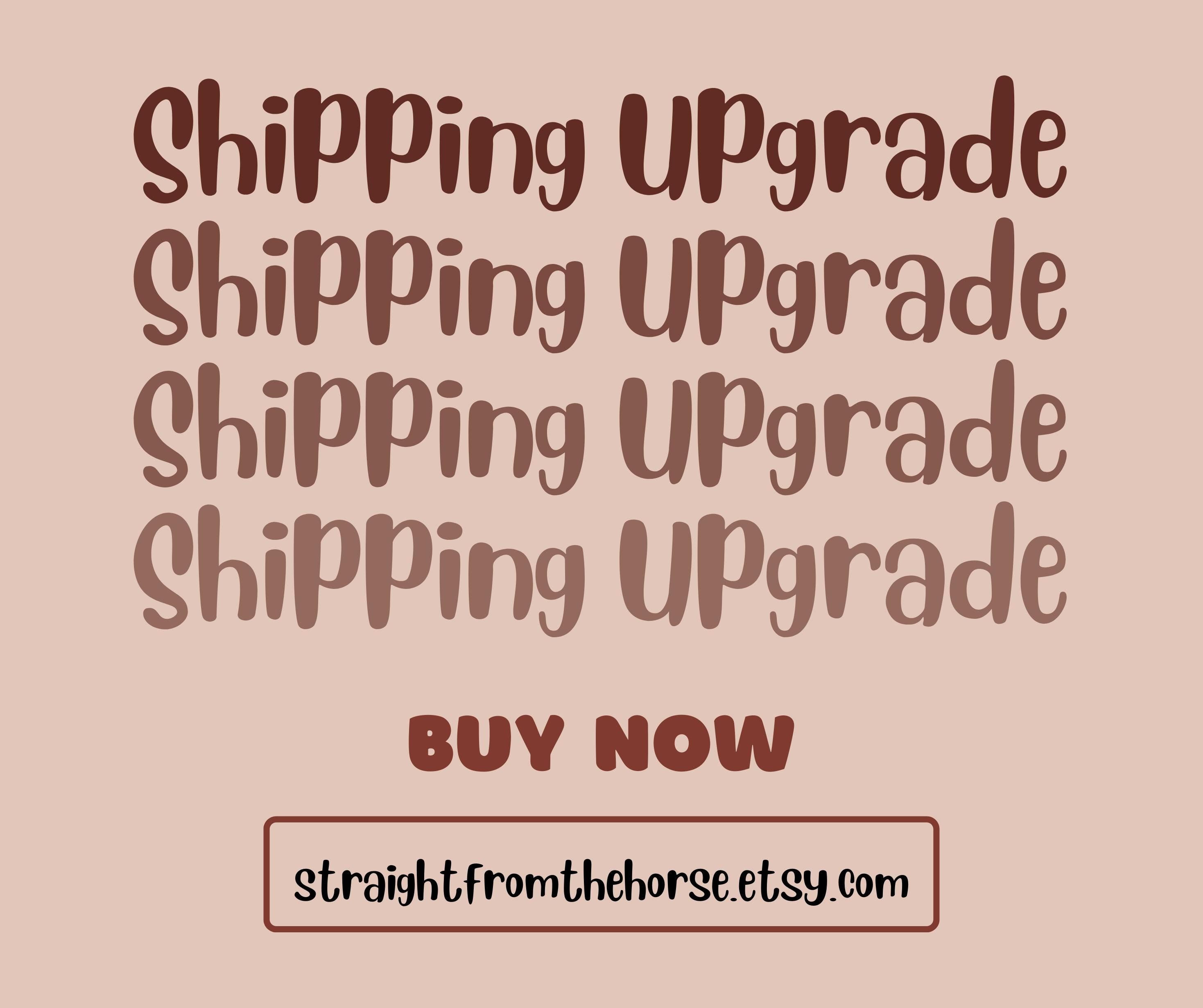 2-Day USPS Express Shipping Upgrade: Rush My Order
