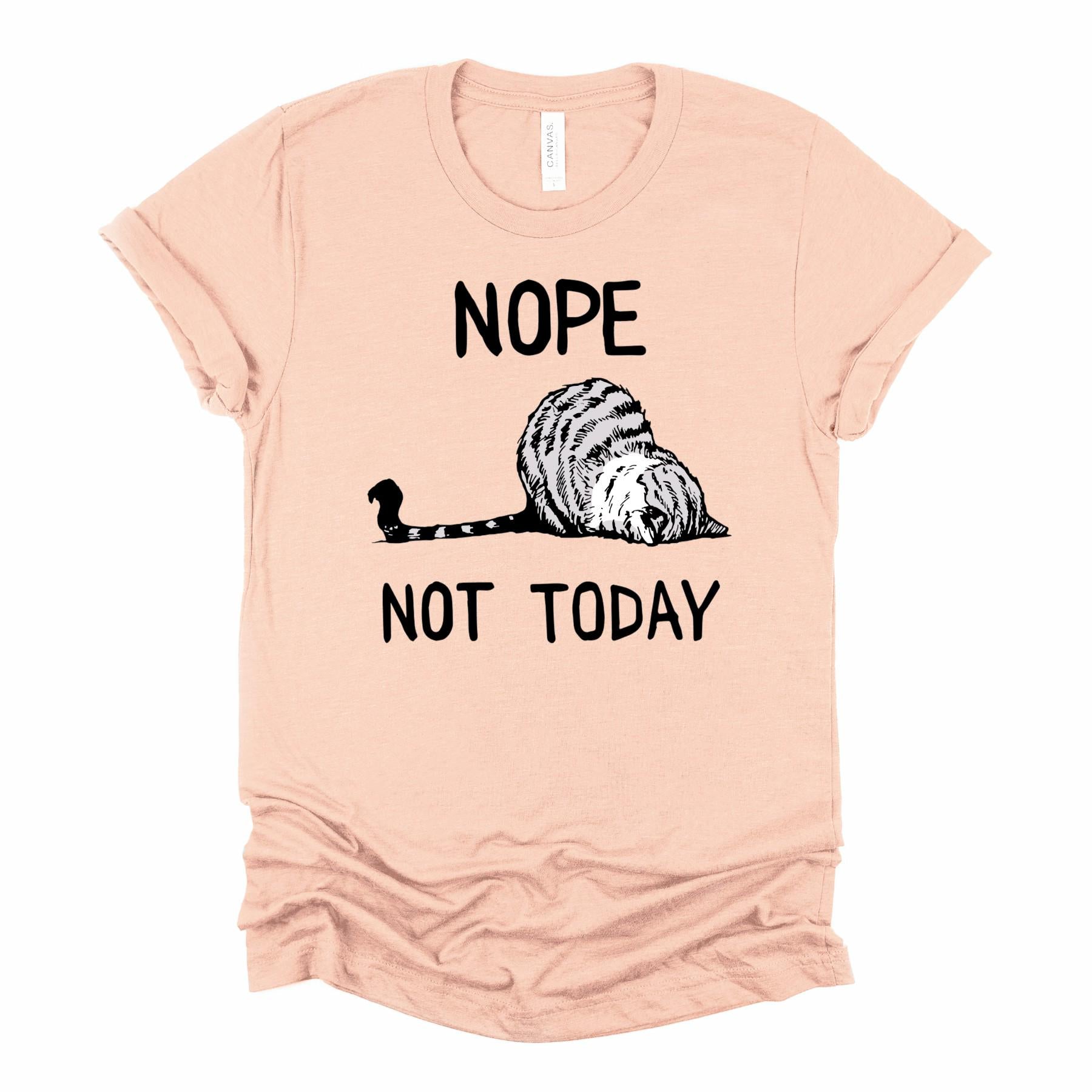 Funny Lazy Cat T-Shirt: Sarcastic Kitty Graphic Tee - Bella Canvas 3001