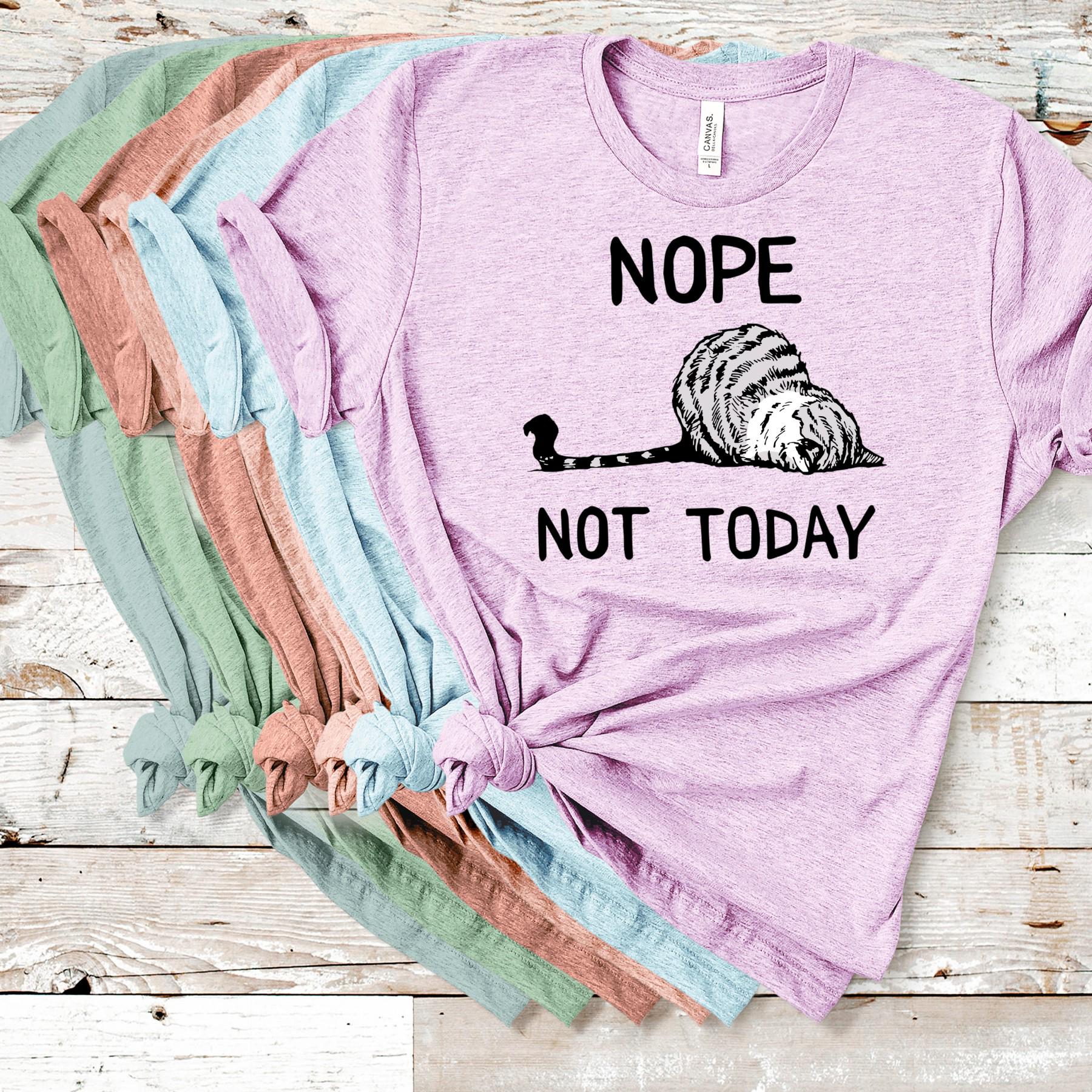 Funny Lazy Cat T-Shirt: Sarcastic Kitty Graphic Tee - Bella Canvas 3001